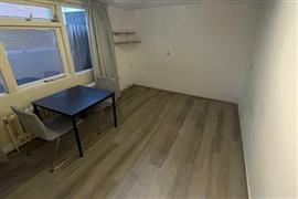 Kamer Zuiderpark in Groningen