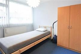 Kamer Buntgras in Rotterdam