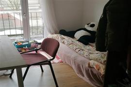 Kamer Montfortanenlaan in Tilburg