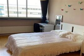 Kamer Gedempte Zalmhaven in Rotterdam