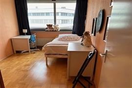 Kamer Gedempte Zalmhaven in Rotterdam