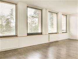 Studio Rogier van der Weydestraat in Alkmaar