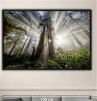 Hope.         Foto op aluminium