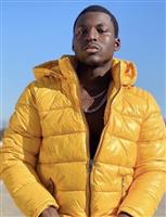 Young bull bbc Friesland 