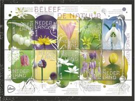 Beleef de natuur, stinsenplanten