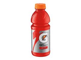 Gatorade Thirst Quencher, Fruit Punch (591ml)