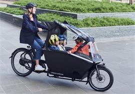 Urban Arrow Regenhuif PLUS