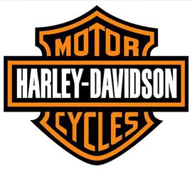Werkplaats boek voor bijna elke Harley Davidson