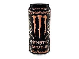 Monster mule ginger brew 500ml