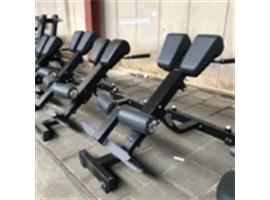 Technogym lower back bench| Pure strength | Back extension |