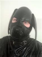 slaaf zoekt vaste Meester