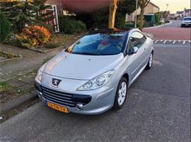 Peugeot 307 2.0 16V CC Cabriolet.Cruise,Airco ,NAP