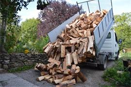 Promotie van brandhout met gratis bezorging.