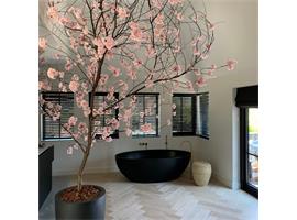 Bloesemboom - sterk vertakt - Sakura - 350cm - cherry blossom -