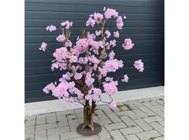 Kersen bloesemboom roze - 120cm - *AANBIEDING*