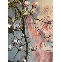 Magnolia boom - 240cm - roze -