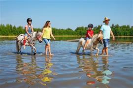 Ponypark Vakantiepark 