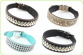 Hunter Halsband honden lijnen honden halsband