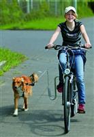 Springer / fietsbeugel honden fietshouder €34,95