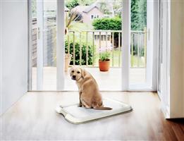 Puppy toilet met 7 gratis pads nu €15,99