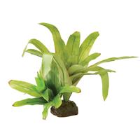 Smart Plant - Bromelia