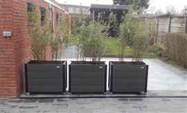 Bloembakken van composiet div afmetingen.