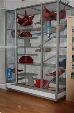 Czyurachel XXL hamsterkooi, helder, rattenkooi voor kleine dieren