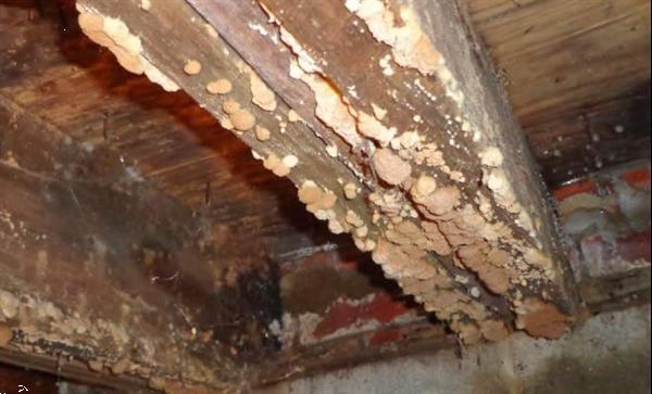 Grote foto vochtproblemen oplossen doe het zelf en verbouw isolatie en afdichting