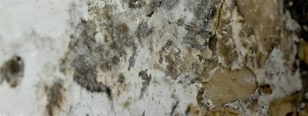 Grote foto vochtproblemen oplossen doe het zelf en verbouw isolatie en afdichting