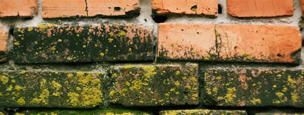 Grote foto vochtproblemen oplossen doe het zelf en verbouw isolatie en afdichting