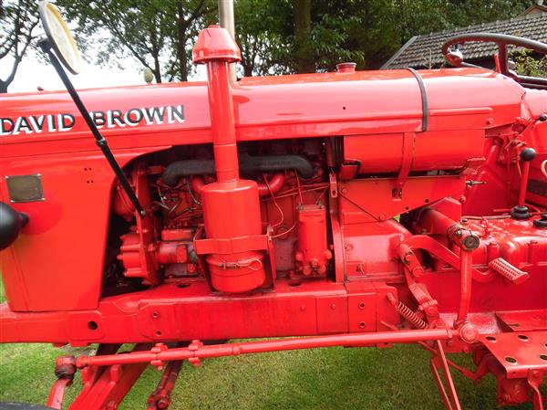 Grote foto david brown 900 tractor bj 1957 agrarisch tractoren