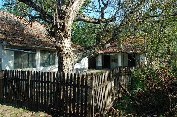 Grote foto kleine boerderij nabij bugac hongarije huizen en kamers bestaand europa