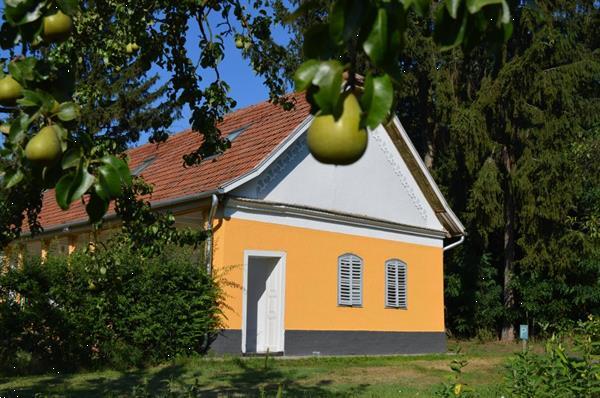 Grote foto ruime woning met zwembad op de hongaarse poesta vakantie hongarije