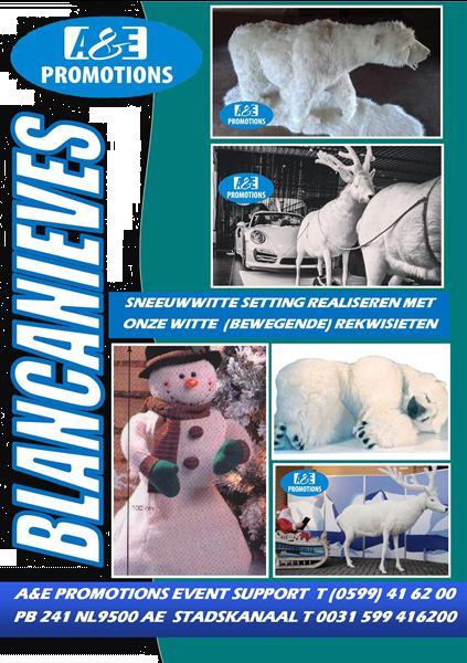 Grote foto winterwonderland feest artikelen huren 0599416200 diensten en vakmensen bedrijfsuitjes
