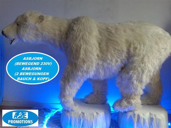 Grote foto ijsbeer vitrinefiguren huren sneeuwpop 0599416200 diensten en vakmensen entertainment