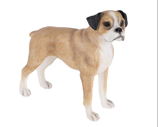 Grote foto bull terri r yorkshire terri r duitse herder. dieren en toebehoren bulldogs pinschers en molossers