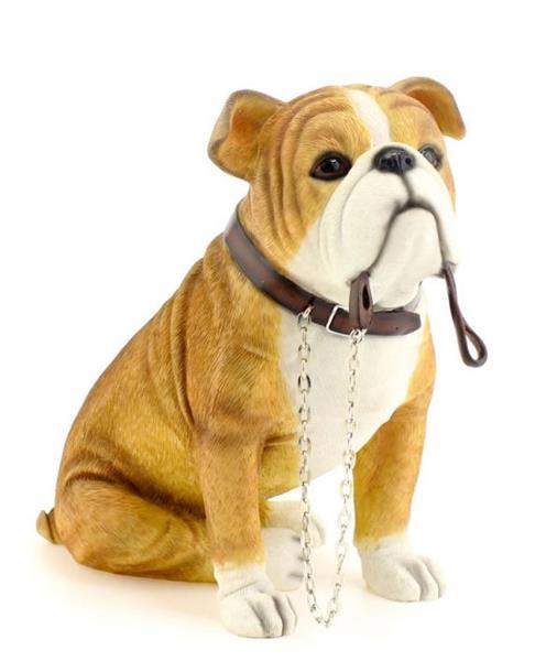 Grote foto bull terri r yorkshire terri r duitse herder. dieren en toebehoren bulldogs pinschers en molossers