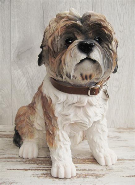 Grote foto bull terri r yorkshire terri r duitse herder. dieren en toebehoren bulldogs pinschers en molossers