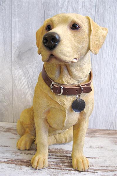 Grote foto prachtige kado artikelen van de labrador retriever dieren en toebehoren retrievers spani ls en waterhonden