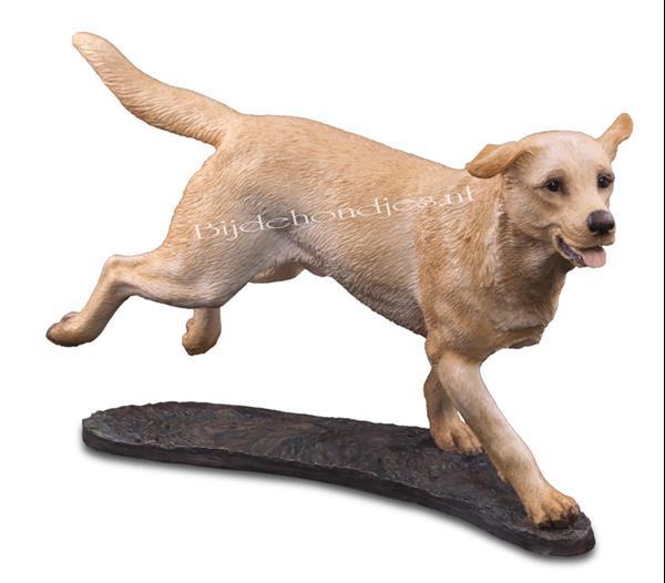 Grote foto prachtige kado artikelen van de labrador retriever dieren en toebehoren retrievers spani ls en waterhonden