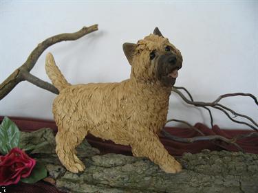 Grote foto prachtige kado artikelen van diverse terri rs dieren en toebehoren jack russells en terri rs