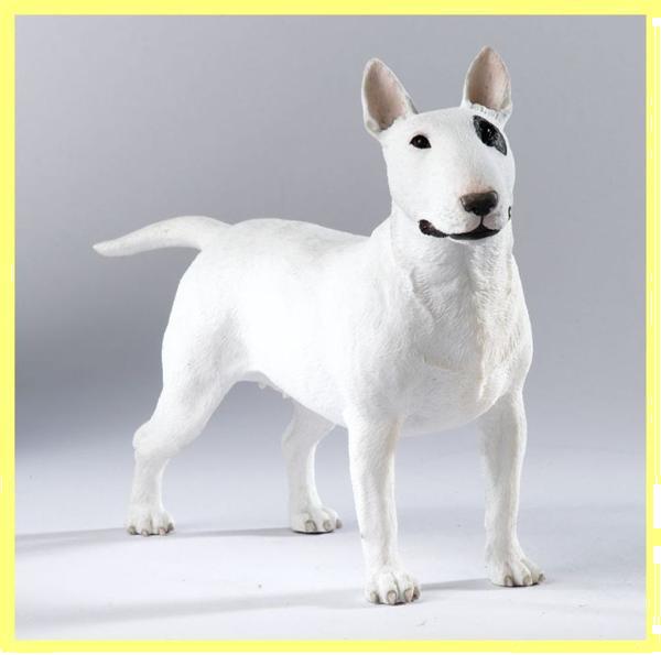 Grote foto prachtige kado artikelen van diverse terri rs dieren en toebehoren jack russells en terri rs