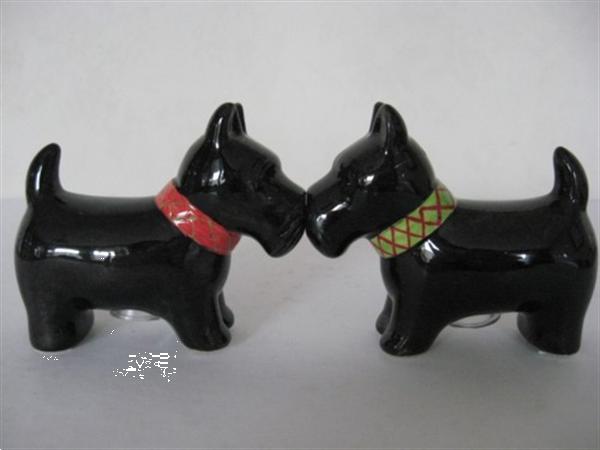 Grote foto prachtige kado artikelen van diverse terri rs dieren en toebehoren jack russells en terri rs