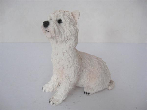 Grote foto prachtige kado artikelen van diverse terri rs dieren en toebehoren jack russells en terri rs