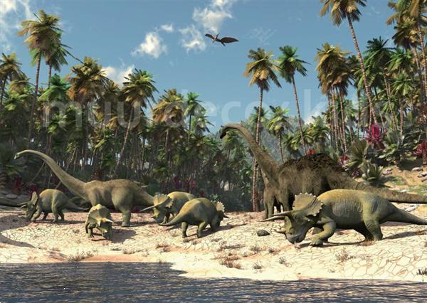 Grote foto dinosaurus behang posterbehang lijm huis en inrichting kinder en baby kamer