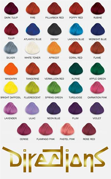 Grote foto la riche directions colors 88ml deep purple kleding dames sieraden