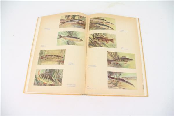 Grote foto handboek voor den hengelaar ferd vulsma boek sport en fitness vissport