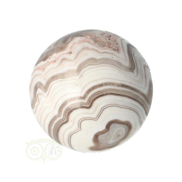 Grote foto zebra calciet bol nr 5 5.30 cm 206 gram verzamelen overige verzamelingen