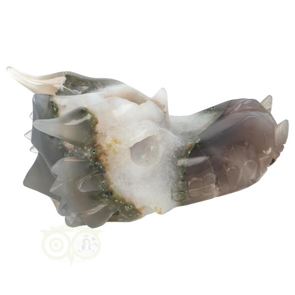 Grote foto agaat geode draken schedel 517 gram verzamelen overige verzamelingen