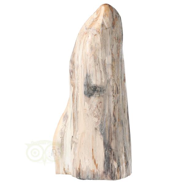 Grote foto versteend hout sculptuur nr 54 4595 gram verzamelen overige verzamelingen